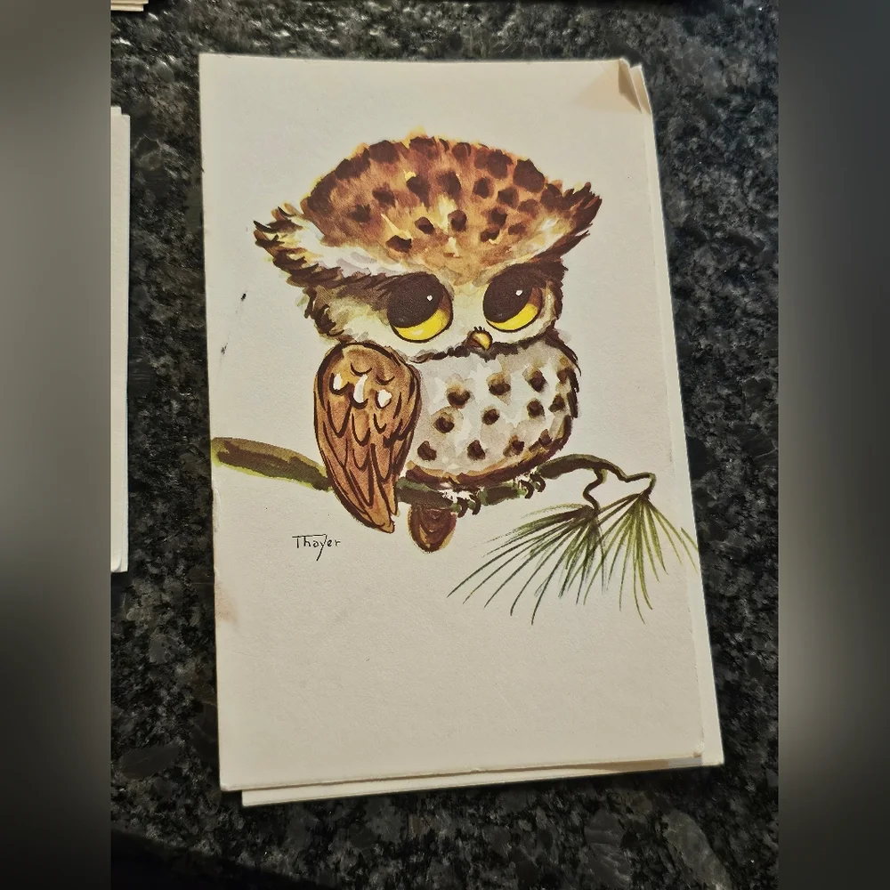 Vtg Thayer Kitschy Owls Big Eyes 16 Post Cards Picture Art 70's MCM Maine USA‎